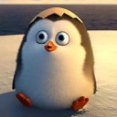 น้องหมูสะพายเป๋า