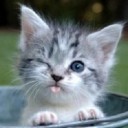 สายน้ำทา