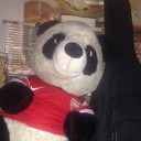 เจ้าแพนด้าน้อย