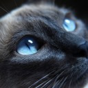 สมาชิกหมายเลข 1959340