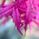 สมาชิกหมายเลข 2279125