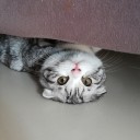 สมาชิกหมายเลข 2672241