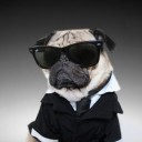 สมาชิกหมายเลข 3170777