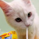 สมาชิกหมายเลข 1118223