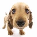 สมาชิกหมายเลข 1960035