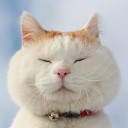 สมาชิกหมายเลข 1118528