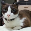 สมาชิกหมายเลข 1511646