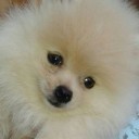 สมาชิกหมายเลข 1960473