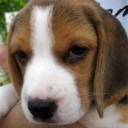 สมาชิกหมายเลข 2354535