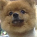 คิดแง่บวก