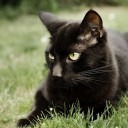 สมาชิกหมายเลข 836264