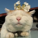 สมาชิกหมายเลข 2354854