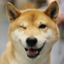 แมวเหมียวหน้าเหนียวเคี้ยวกุ้ง