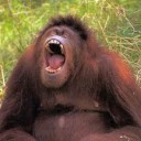 สมาชิกหมายเลข 1119348