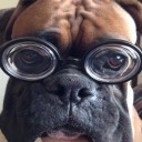 คนล่าผี