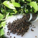 สมาชิกหมายเลข 3169836