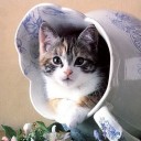 สมาชิกหมายเลข 3170409