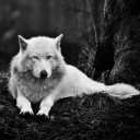 สมาชิกหมายเลข 1054332