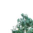 สมาชิกหมายเลข 1387554