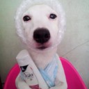 สมาชิกหมายเลข 1265476