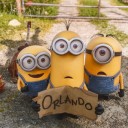 สมาชิกหมายเลข 2184127