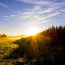 สมาชิกหมายเลข 1598980