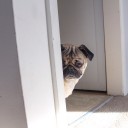 สมาชิกหมายเลข 2257580