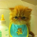 สมาชิกหมายเลข 1121292