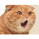 สมาชิกหมายเลข 1238904