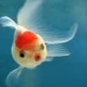 สมาชิกหมายเลข 1926533