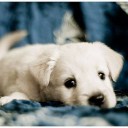 สมาชิกหมายเลข 2357583