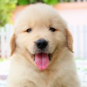 สมาชิกหมายเลข 2357793