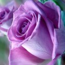 ไหมอี้เฟย