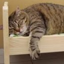 สมาชิกหมายเลข 710091