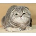 สมาชิกหมายเลข 726569