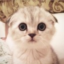 สมาชิกหมายเลข 1963968