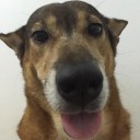 สมาชิกหมายเลข 2226473