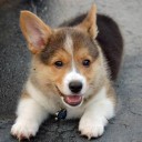 สมาชิกหมายเลข 2324951