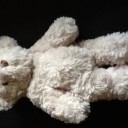 สมาชิกหมายเลข 1122391