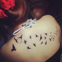 สมาชิกหมายเลข 1487285