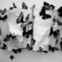 สมาชิกหมายเลข 1964557