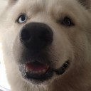 I am hungry