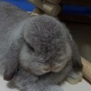 มุชิ มุฉี