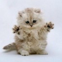 สมาชิกหมายเลข 2358930