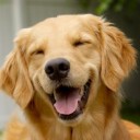 สมาชิกหมายเลข 2753021