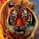 สมาชิกหมายเลข 2324140