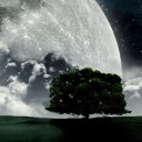 สมาชิกหมายเลข 728142