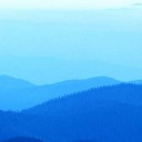 ปลาทูน่าสีน้ำเงิน