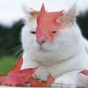 สมาชิกหมายเลข 738975