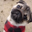 สมาชิกหมายเลข 2743367